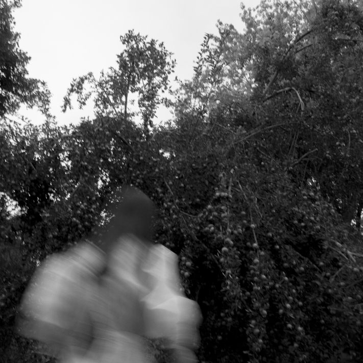 Photograph of a figure approaching a tree